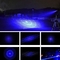 A noite caça o ponteiro azul do laser de 450 nanômetro com luzes brilhantes da busca das pontas diferentes